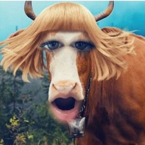 Meet your Posher, Anorah